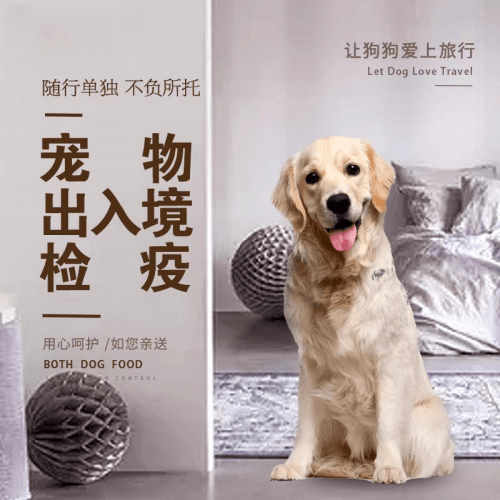 密云区宠物托运到哥伦比亚猫狗宠物入境规定和