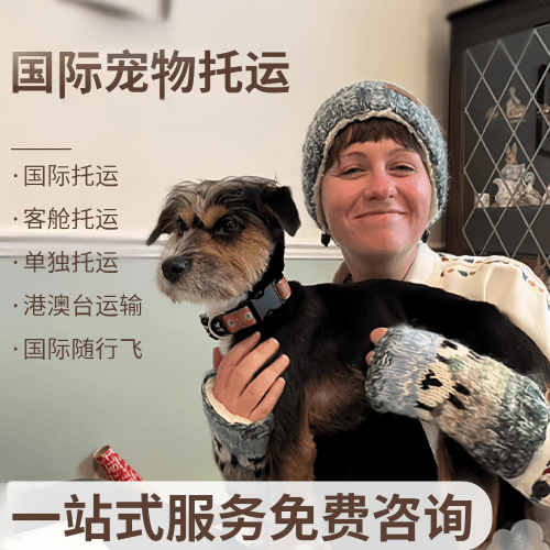 密云区国际宠物托运到阿根廷宠物入境规定和要