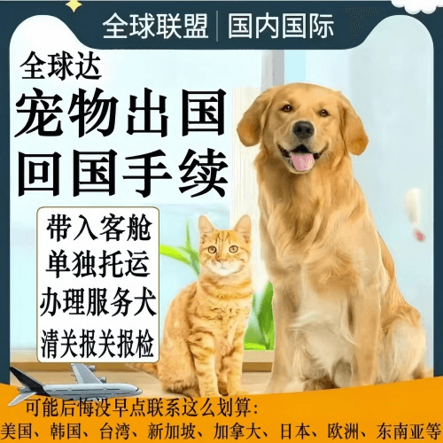 密云区宠物托运到柬埔寨宠物入境规定和要求