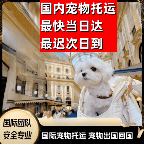 密云区到澳大利亚（澳洲）宠物入境规定和要求