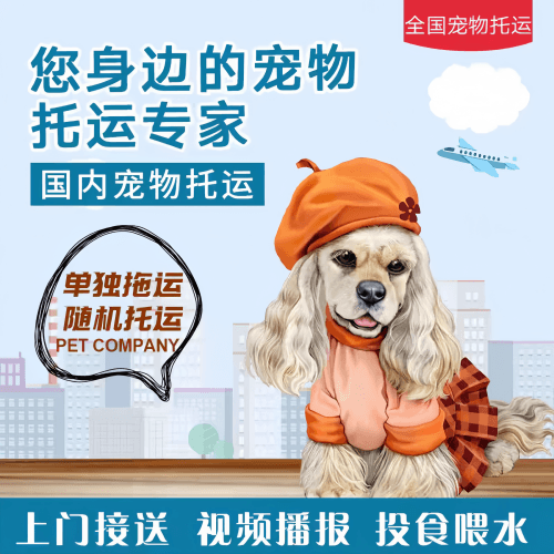 满财密云区宠物全球达宠物托运作为专业的宠物运输代理机构